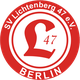 利希滕贝格47 logo